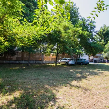 Alexandra * וראסנה